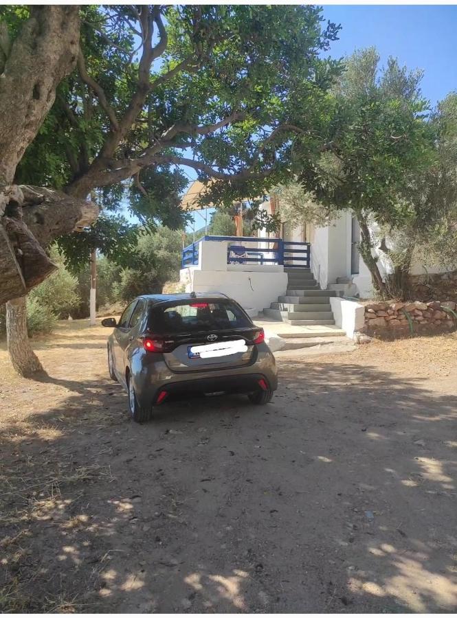The Traditional House-Skalia,Kalymnos Ngoại thất bức ảnh